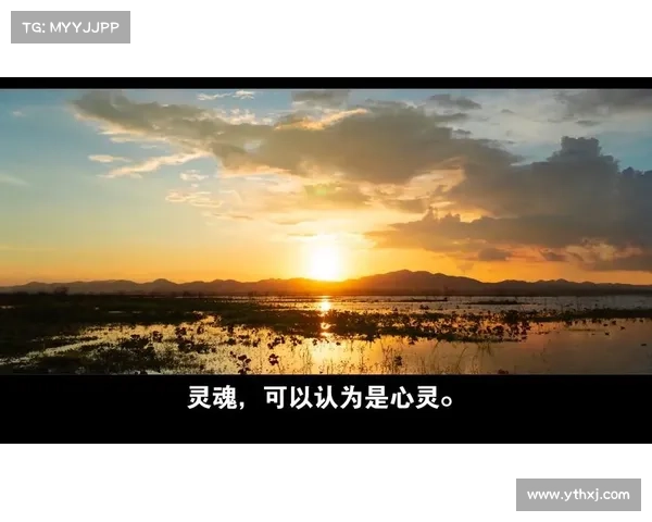 在神秘荧光森林中冥想寻找内心平静与心灵觉醒的奥秘 在神秘荧光森林中冥想寻找内心平静与心灵觉醒的奥秘